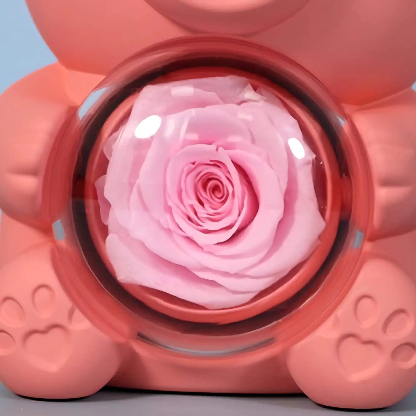 回転するクマのギフトボックス ジュエリーボックス ギフト 誕生日プレゼント - ルクスシャル LuxeChar