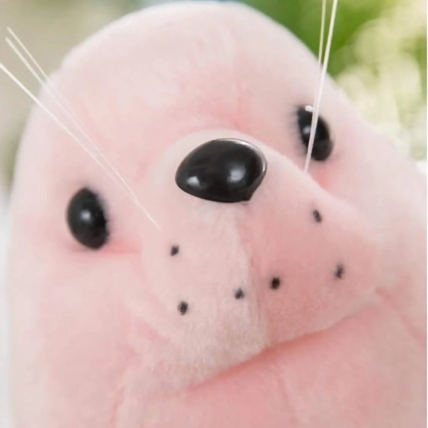 ぬいぐるみ アザラシ 小さい 顔 25cm