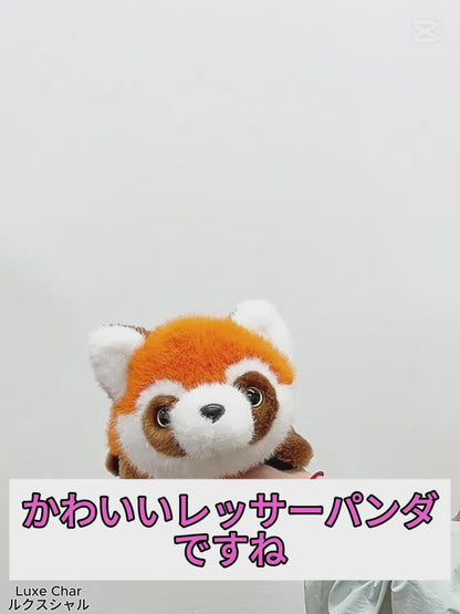 ぬいぐるみ レッサーパンダがパンダに変身　15cm 25cm 35cm